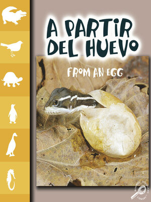 cover image of A partir del huevo (From an egg)